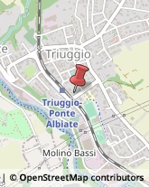 Avvocati Triuggio,20844Monza e Brianza