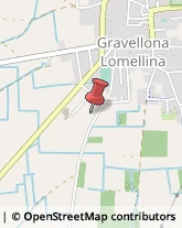 Calamite e Magneti Permanenti Gravellona Lomellina,27020Pavia