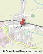 Farmacie Ceregnano,45010Rovigo