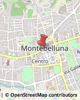 Tour Operator e Agenzia di Viaggi Montebelluna,31044Treviso