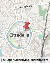 Bulbi e Sementi Cittadella,35013Padova