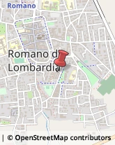 Alimenti Conservati Romano di Lombardia,24058Bergamo