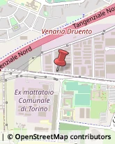 Consulenza Informatica,10078Torino