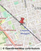 Massaggi Lissone,20851Monza e Brianza