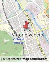 Etichette Vittorio Veneto,31029Treviso