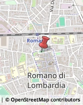 Articoli da Regalo - Dettaglio Romano di Lombardia,24058Bergamo