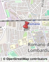 Articoli per Ortopedia Romano di Lombardia,24058Bergamo