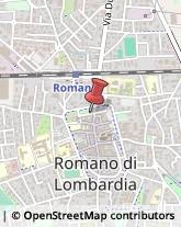 Ambulanze Private Romano di Lombardia,24058Bergamo