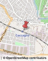 Taxi Coccaglio,25030Brescia