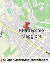 Autotrasporti Montecchio Maggiore,36075Vicenza