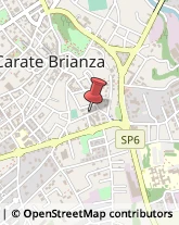 Elementari - Scuole Private Carate Brianza,20841Monza e Brianza