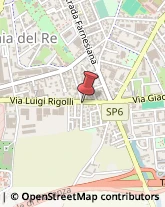 Assicurazioni Piacenza,29122Piacenza