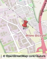 Sabbiatrici, Pallinatrici e Granigliatrici Settimo Milanese,20019Milano