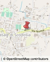 Articoli da Regalo - Dettaglio Casale di Scodosia,35040Padova