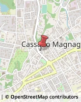 Formaggi e Latticini - Dettaglio Cassano Magnago,21012Varese