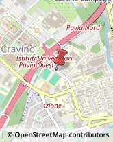 Università ed Istituti Superiori,27100Pavia