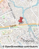 Trasporto Pubblico Treviso,31100Treviso