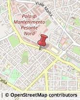 Assicurazioni Piacenza,29122Piacenza