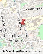 Feste - Organizzazione e Servizi Castelfranco Veneto,31033Treviso