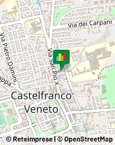 Feste - Organizzazione e Servizi Castelfranco Veneto,31033Treviso