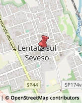 Setole e Crine Lentate sul Seveso,22066Monza e Brianza