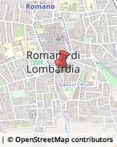 Imprese Edili Romano di Lombardia,24058Bergamo