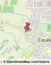 Assicurazioni Casale sul Sile,31032Treviso