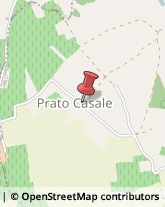 Bed e Breakfast Casorzo,14032Asti