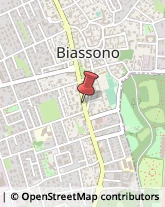 Pasticcerie - Produzione e Ingrosso Biassono,20853Monza e Brianza