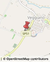 Consulenza Industriale Veggiano,35030Padova