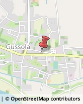 Elettrauto Gussola,26040Cremona