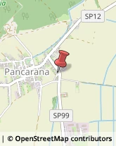 Autotrasporti Pancarana,27050Pavia