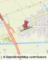 Agrumi Novara,28100Novara