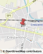 Trasportatori Meccanici Crescentino,13044Vercelli