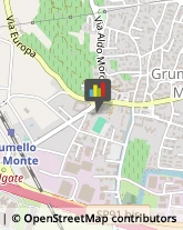 Aziende Sanitarie Locali (ASL) Grumello del Monte,24064Bergamo