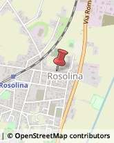 Pizzerie Rosolina,45010Rovigo