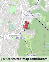 Agenzie Immobiliari Selvino,24020Bergamo