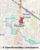 Notai Noale,30033Venezia