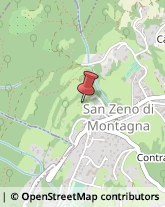 Aziende Agricole San Zeno di Montagna,37010Verona