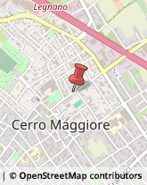 Giornalai Cerro Maggiore,20015Milano