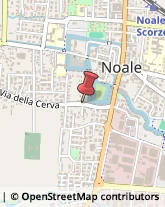 Pelliccerie Noale,30033Venezia