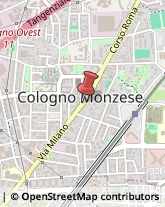 Agenzie Immobiliari Cologno Monzese,20093Milano