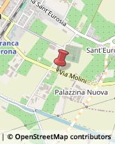 Vivai Piante e Fiori Villafranca di Verona,37069Verona