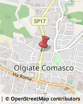 Massaggi Olgiate Comasco,22077Como