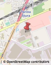Profumi - Produzione e Commercio Torino,10156Torino