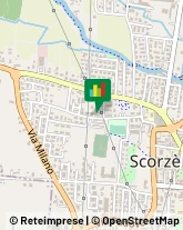 Borse - Dettaglio Scorzè,30037Venezia