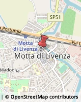 Assicurazioni Motta di Livenza,31045Treviso