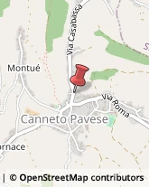 Medie - Scuole Private Canneto Pavese,27044Pavia
