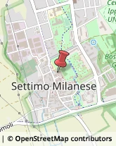 Giornalai Settimo Milanese,20019Milano