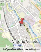 Associazioni ed Istituti di Previdenza ed Assistenza Vittorio Veneto,31029Treviso